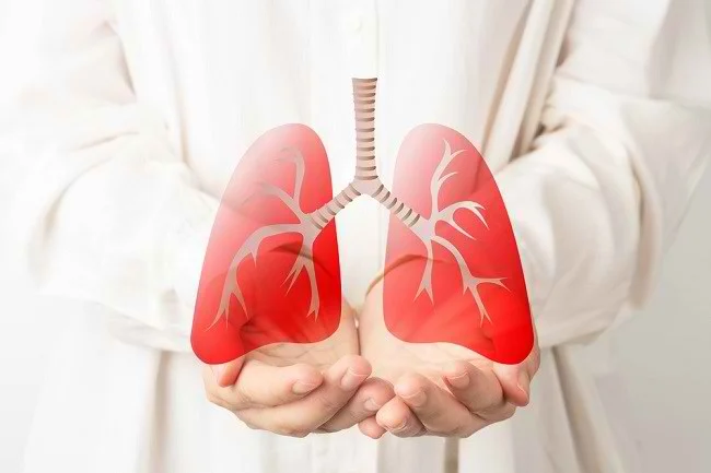 Menjaga Kesehatan Paru-paru